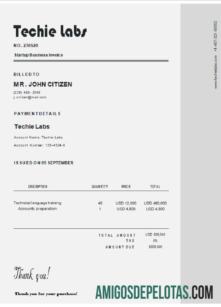 Fatura do Techie Labs dos EUA baixar para verificação